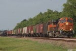 BNS Loaded Grain Train